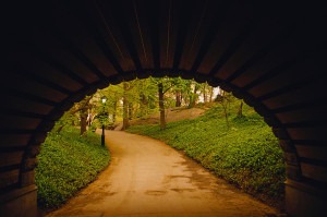Path Through Tunnel