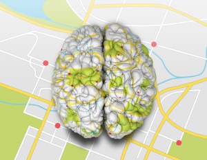 Mind Map Brain Top