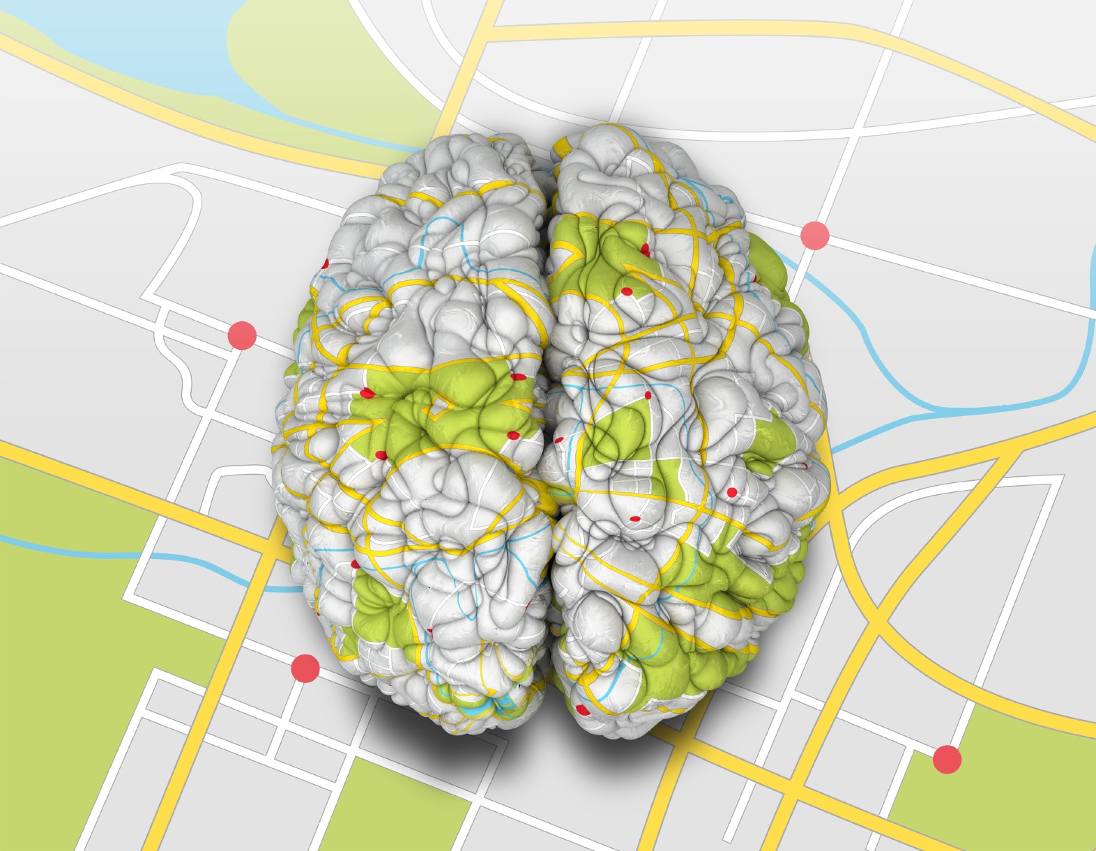 Brain карта. Карта мозга. Мозг карт. Интерактивная карта мозга. Дорожная карта для мозга.