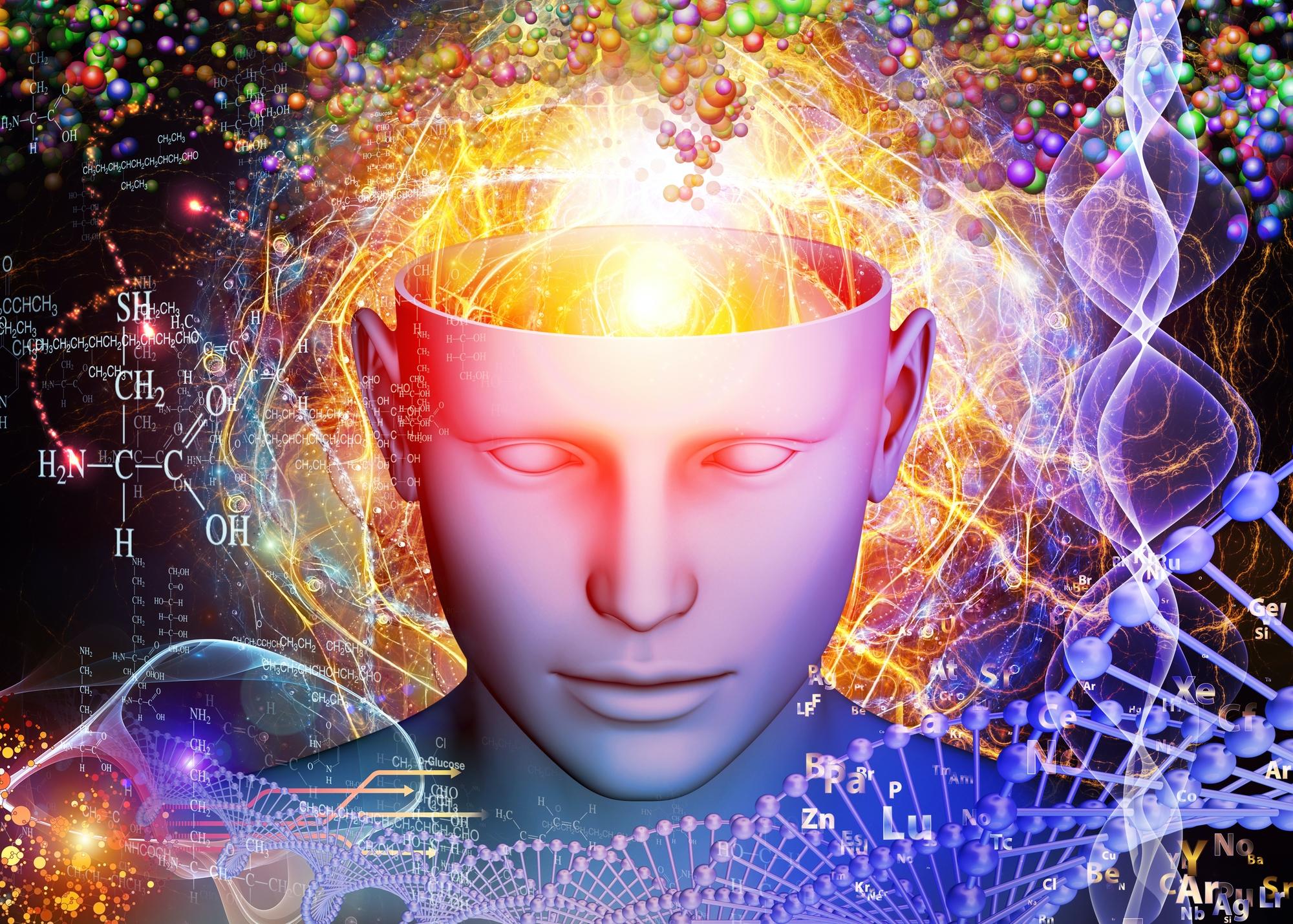 Diversity of the Mind